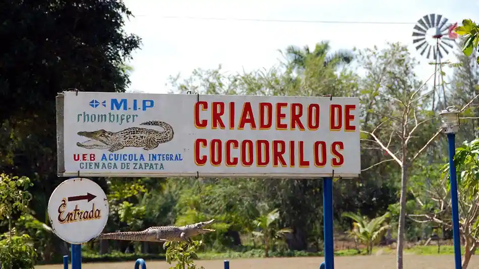 Criadero de Cocodrilos